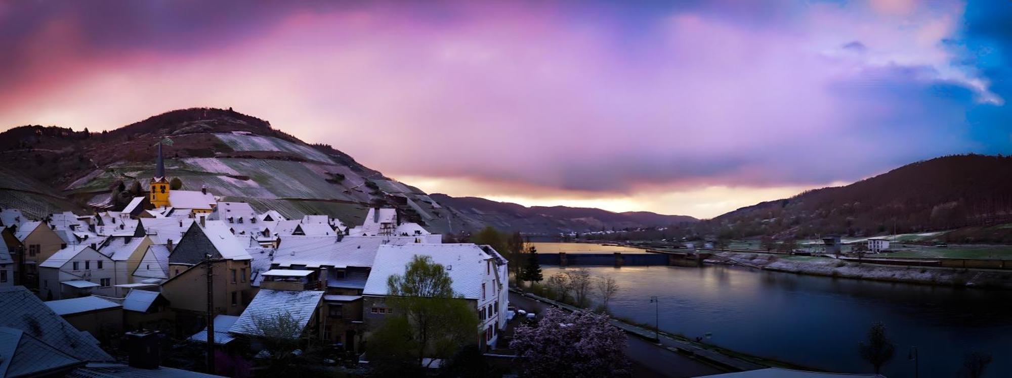 Vegan Hotel Und Restaurants Nicolay 1881 Zeltingen-Rachtig Εξωτερικό φωτογραφία
