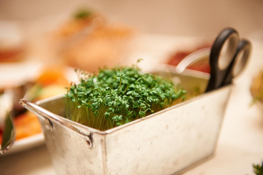 Vegan Hotel Und Restaurants Nicolay 1881 Zeltingen-Rachtig Εξωτερικό φωτογραφία